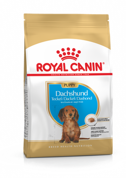 pu-dachshund-packshot-bhn18