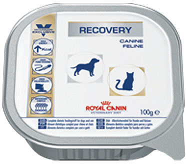 recovery