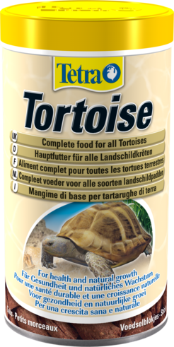 tetra-tortoise