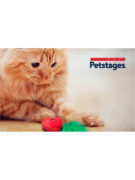 Petstages_EC 970-600