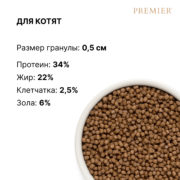 1 Котята