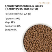 1 стер Лосось
