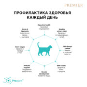 5 Кош Взросл