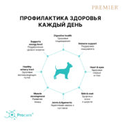 5 Мини