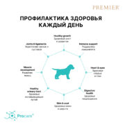 5 Щенки