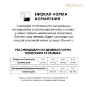 6 Котята 6 Котята