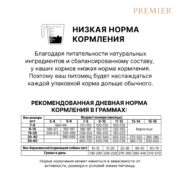 6 Юниоры