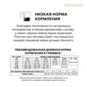 6 щенки
