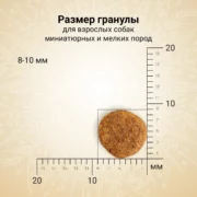 5 5