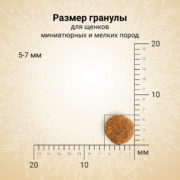 5 5